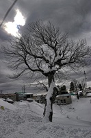 Muree Ayubia 77 Pakistan